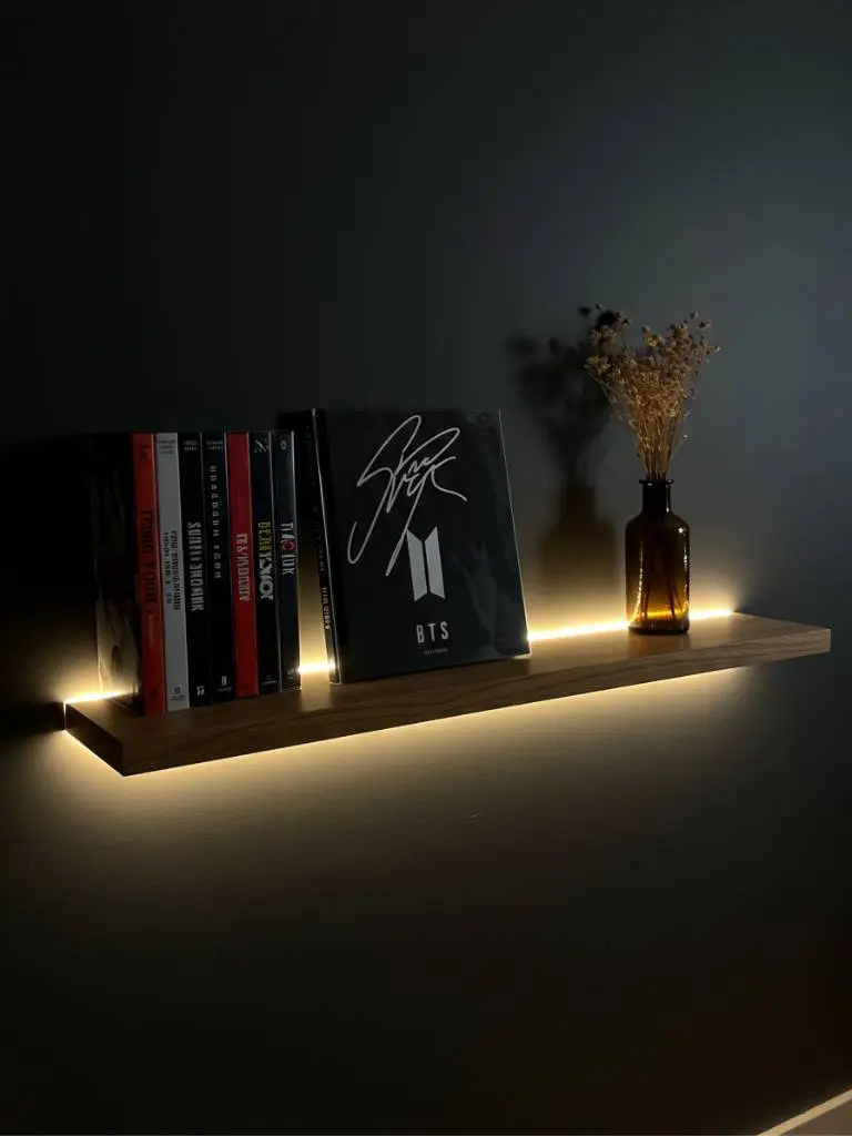 3. Wall-Mounted Light Shelf